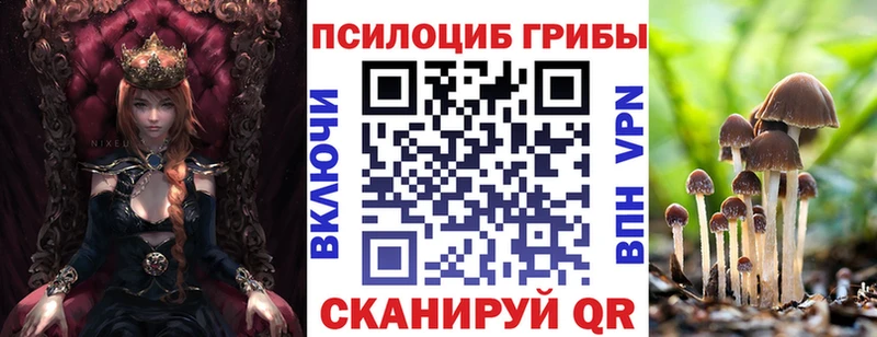 купить закладку  Макаров  Галлюциногенные грибы Cubensis 
