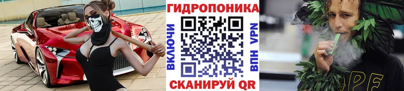 Канабис OG Kush  Макаров 
